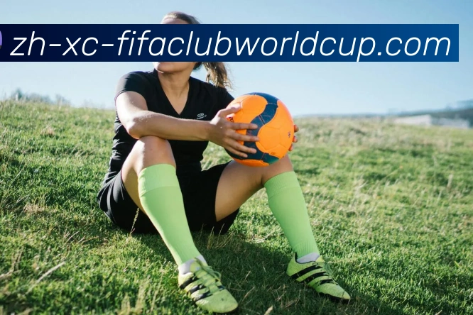 世界杯赛程服务体系